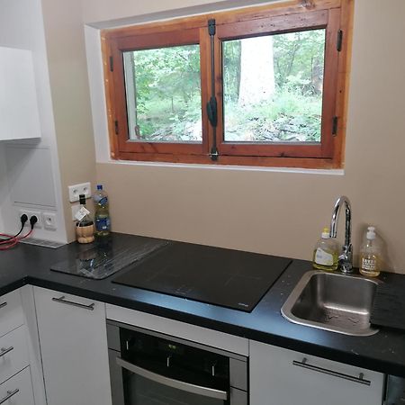Chalet Le Tyrolien, Au Coeur Du Boreon Saint-Martin-Vésubie Eksteriør billede