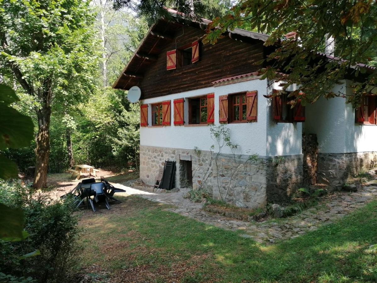 Chalet Le Tyrolien, Au Coeur Du Boreon Saint-Martin-Vésubie Eksteriør billede