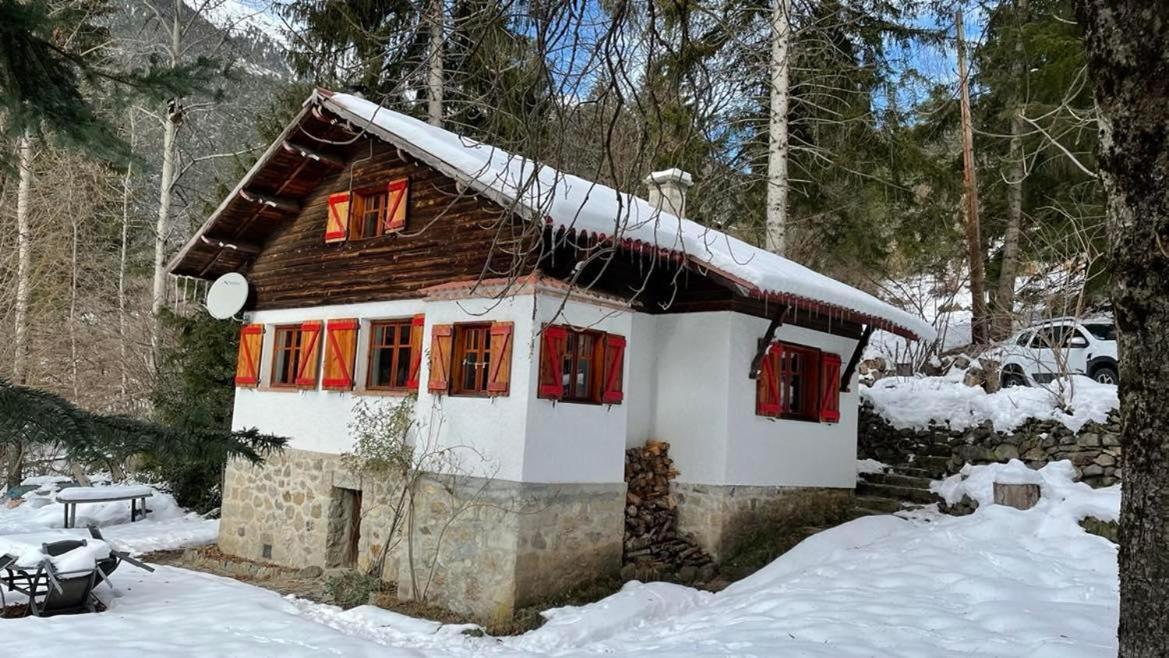 Chalet Le Tyrolien, Au Coeur Du Boreon Saint-Martin-Vésubie Eksteriør billede