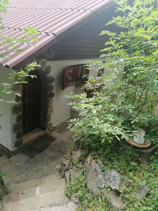 Chalet Le Tyrolien, Au Coeur Du Boreon Saint-Martin-Vésubie Eksteriør billede